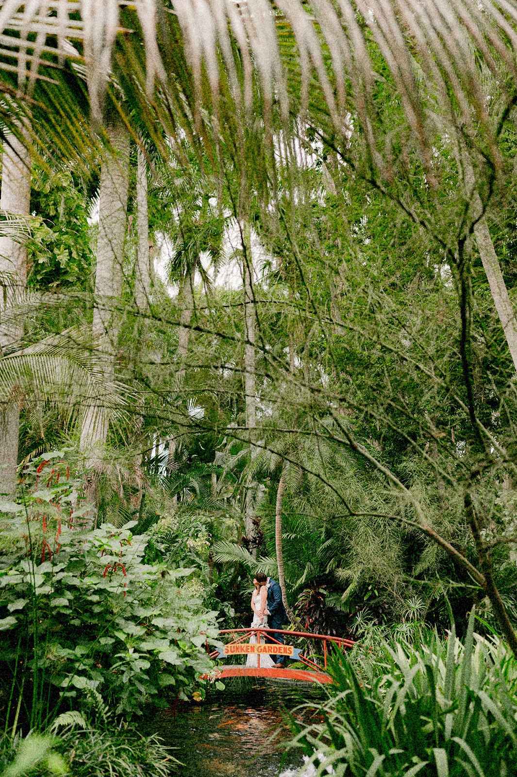 April and Shane share a romantic embrace on a quaint bridge at Sunken Gardens, Saint Pete, surrounded by lush tropical foliage and the serene ambiance of this Florida paradise